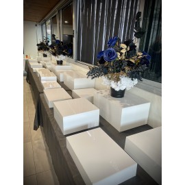 Square food risers (white)